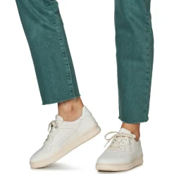 Clae - HAYWOOD