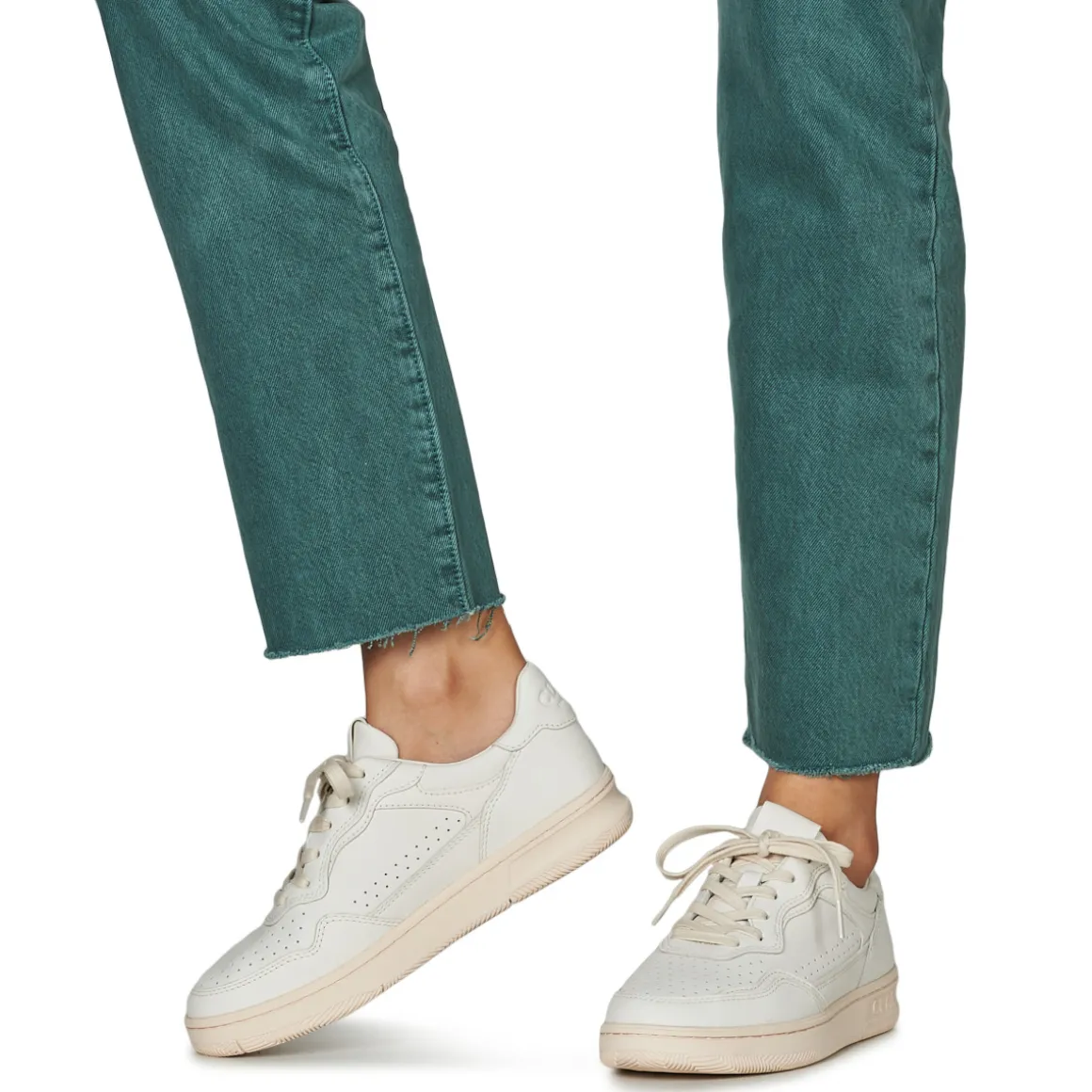 Clae - HAYWOOD