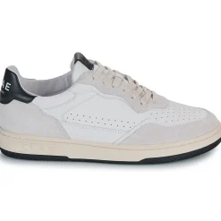 Clae - HAYWOOD
