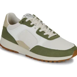 Clae - JOSHUA