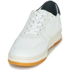 Clae - MALONE