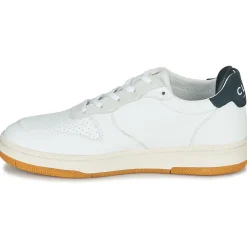Clae - MALONE