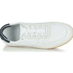 Clae - MALONE