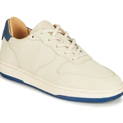 Clae - MALONE