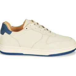 Clae - MALONE