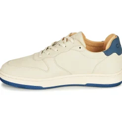 Clae - MALONE