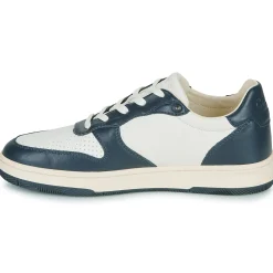 Clae - MALONE