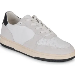 Clae - MALONE