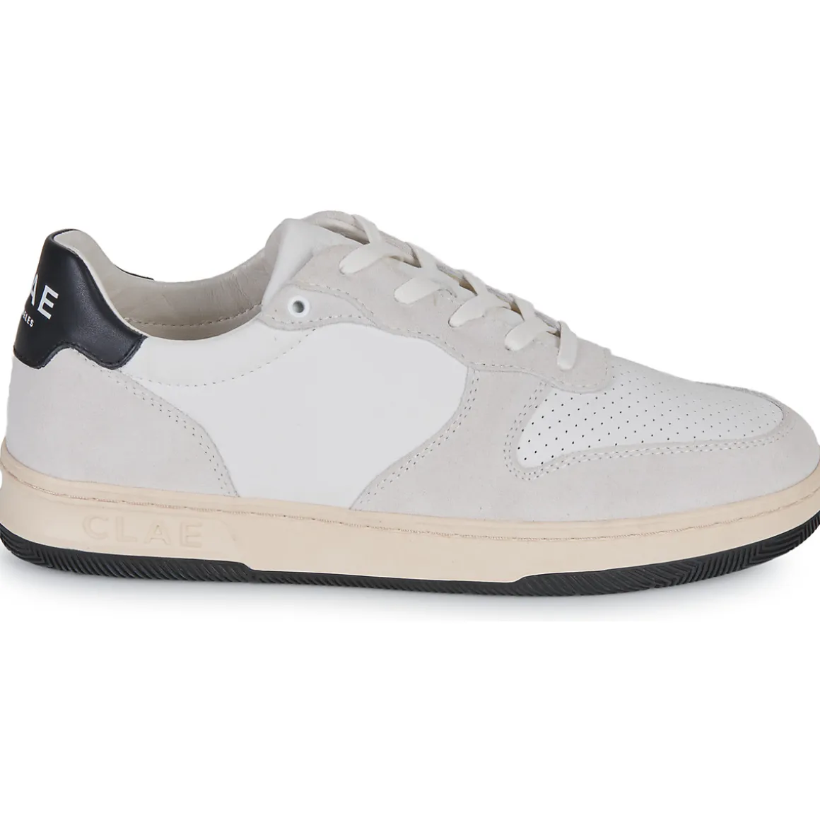 Clae - MALONE