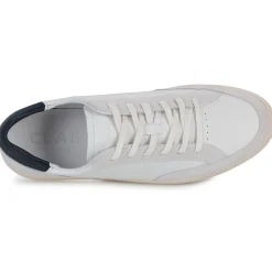 Clae - MONROE
