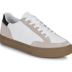 Clae - MONROE VP