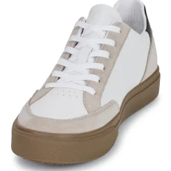 Clae - MONROE VP