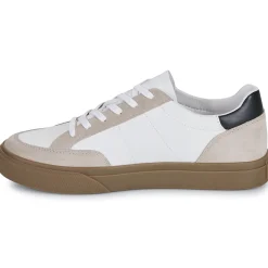 Clae - MONROE VP