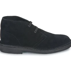Clarks - DESERT BOOT O