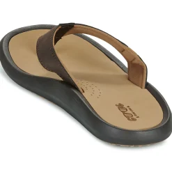 Cool shoe - WAVE