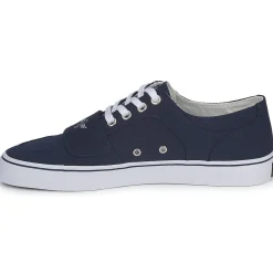 Creative Recreation - G C CESARIO LO XVI