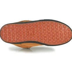 DC Shoes - PURE HT WC WNT