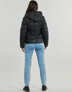Desigual - PADDED DRAMMEN