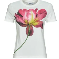 Desigual - PLATA