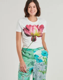 Desigual - PLATA