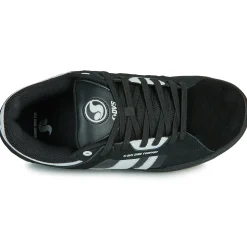 DVS - TACTIC