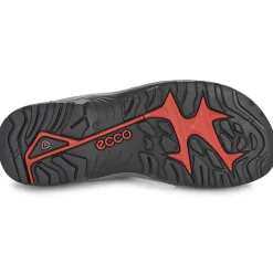 Ecco - 069564-02038
