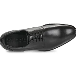 Ecco - CITYTRAY