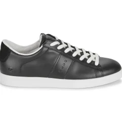 Ecco - STREET LITE