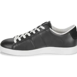 Ecco - STREET LITE