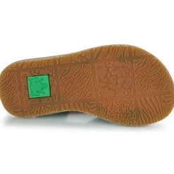El Naturalista - 5350