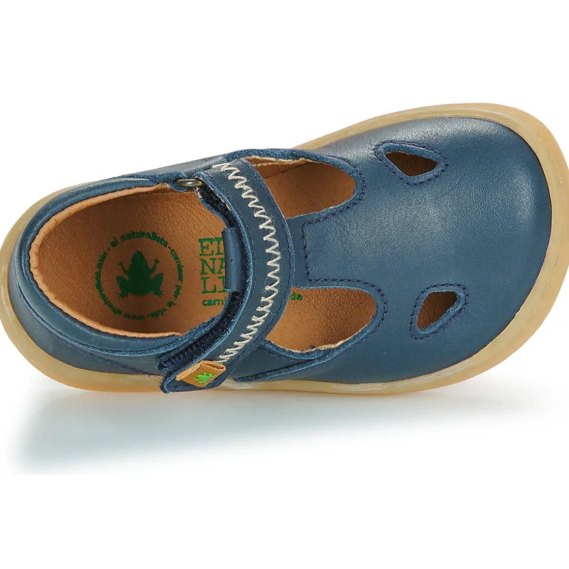 El Naturalista - 5341