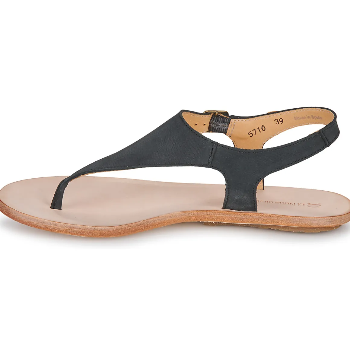 El Naturalista - CORATINA N5710