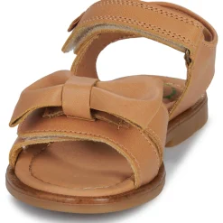 El Naturalista - 16299-CUERO