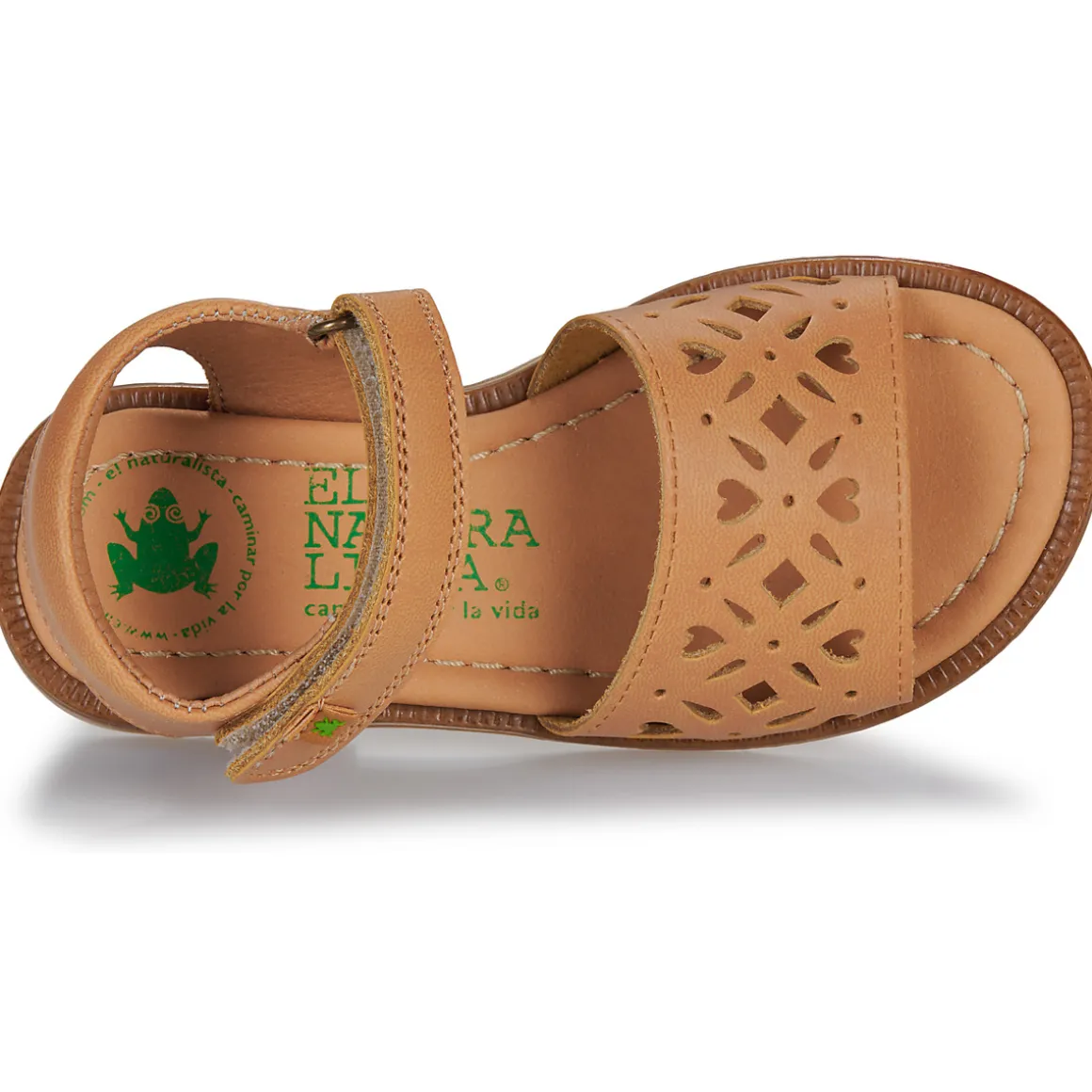 El Naturalista - 15235-CUERO