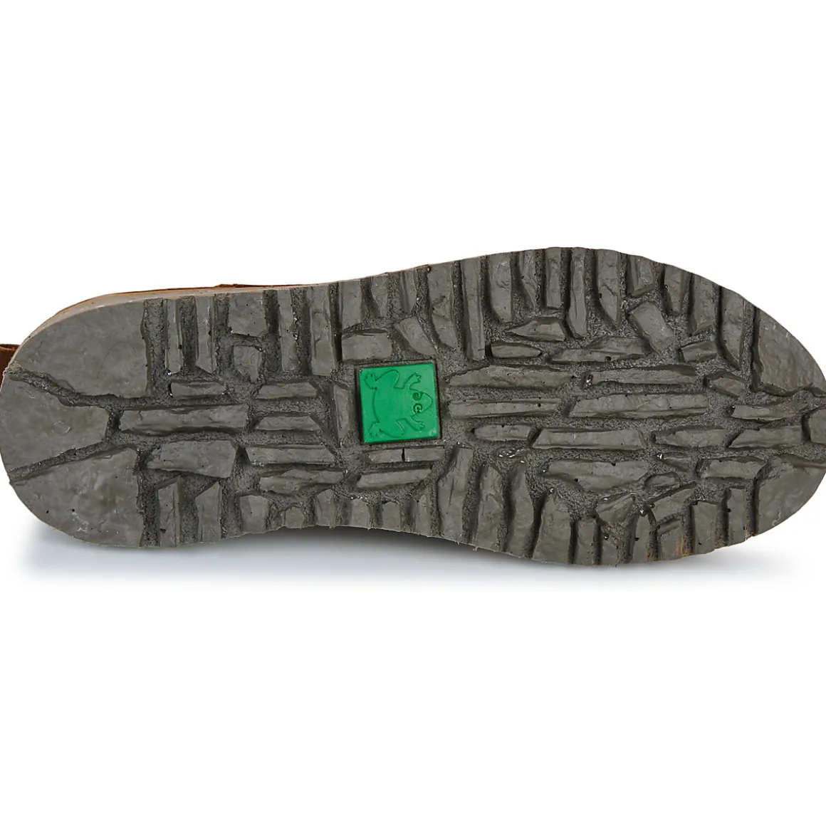 El Naturalista - FELSEN N5630