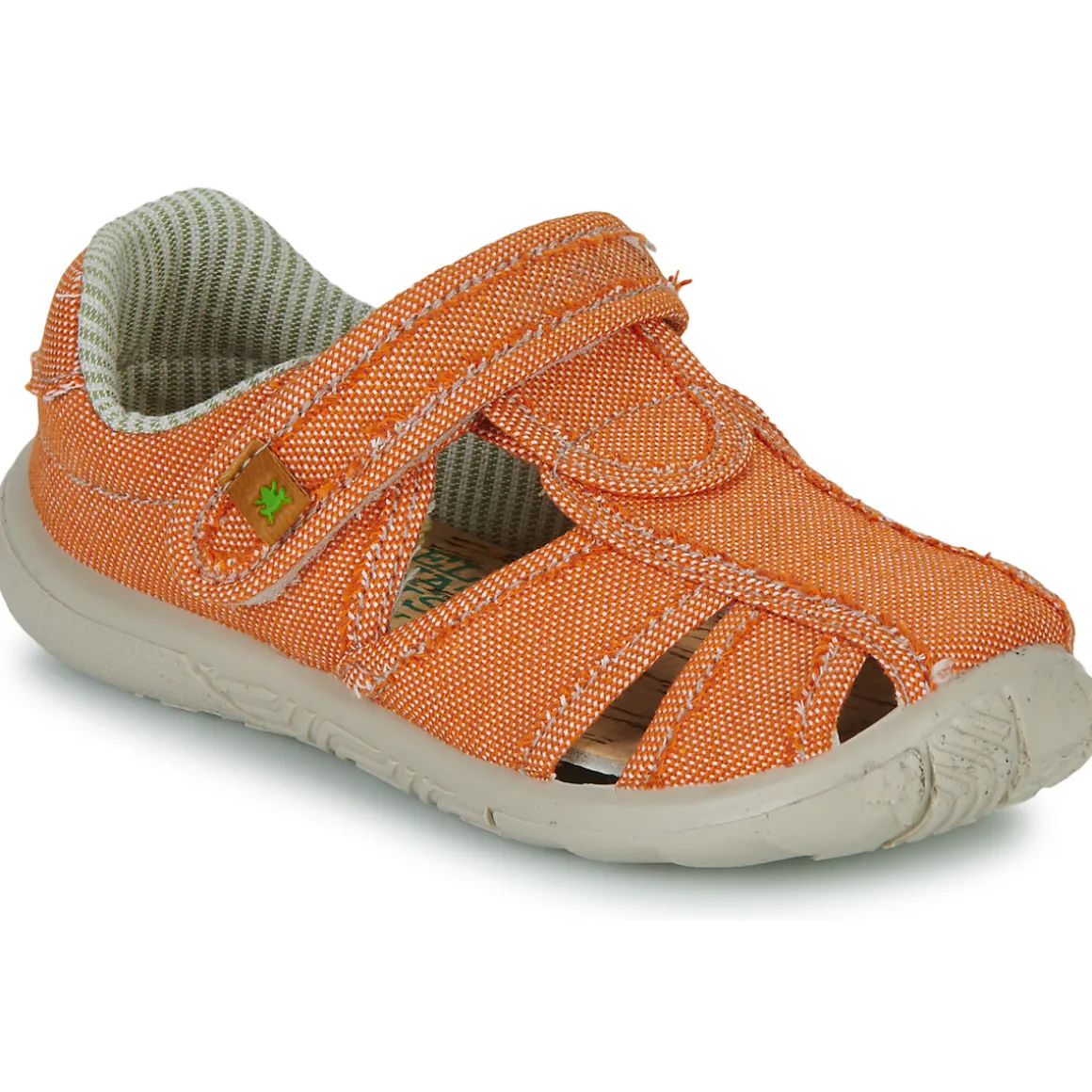 El Naturalista - NT74196