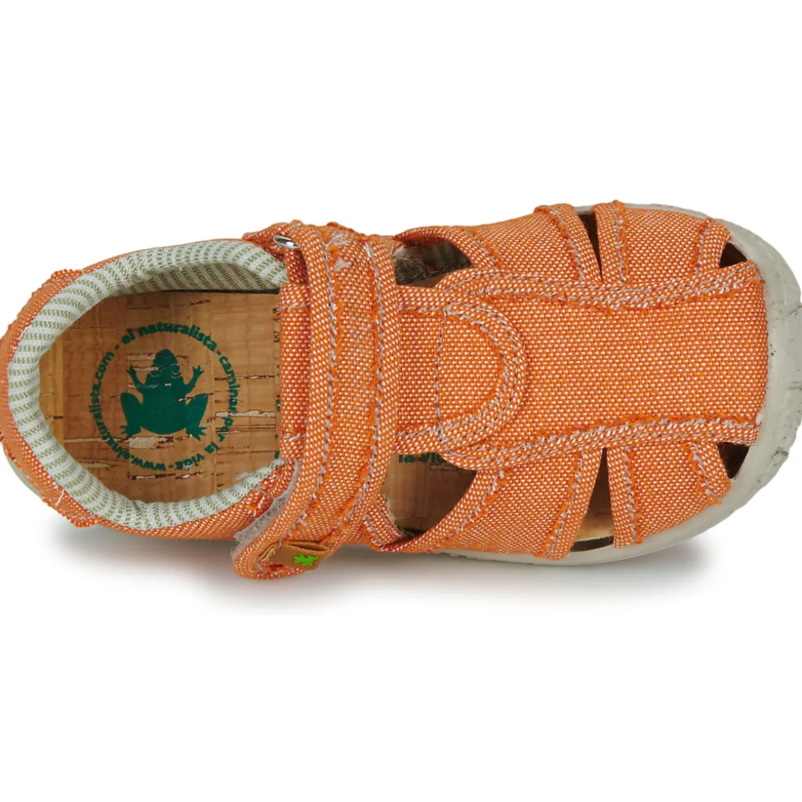 El Naturalista - NT74196