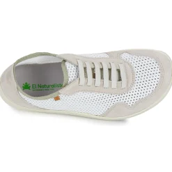 El Naturalista - ORIGEN N5914
