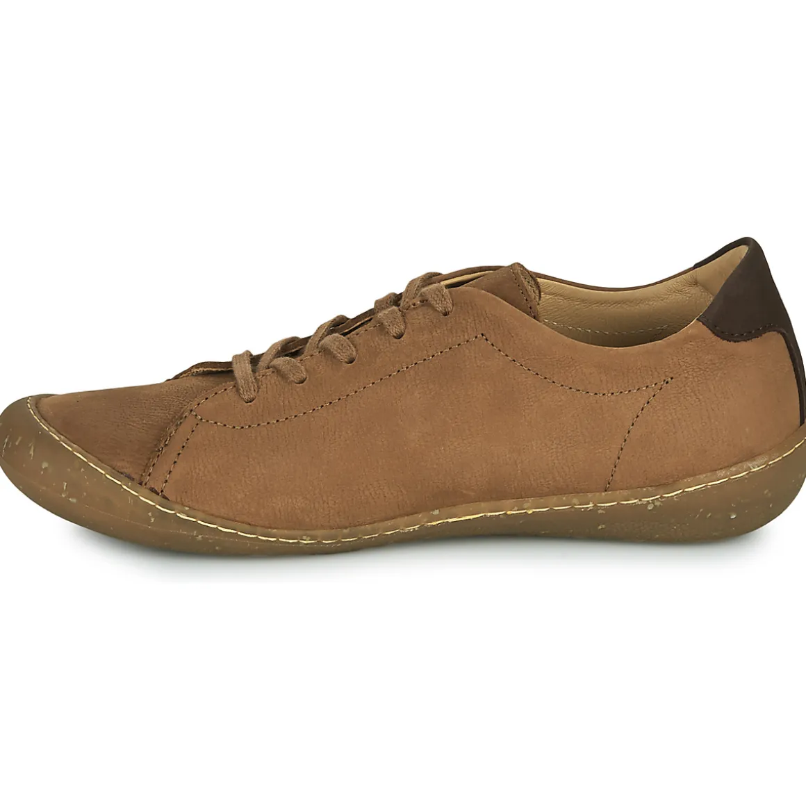 El Naturalista - PAWIKAN N5770