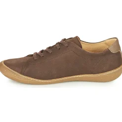El Naturalista - PAWIKAN N5770