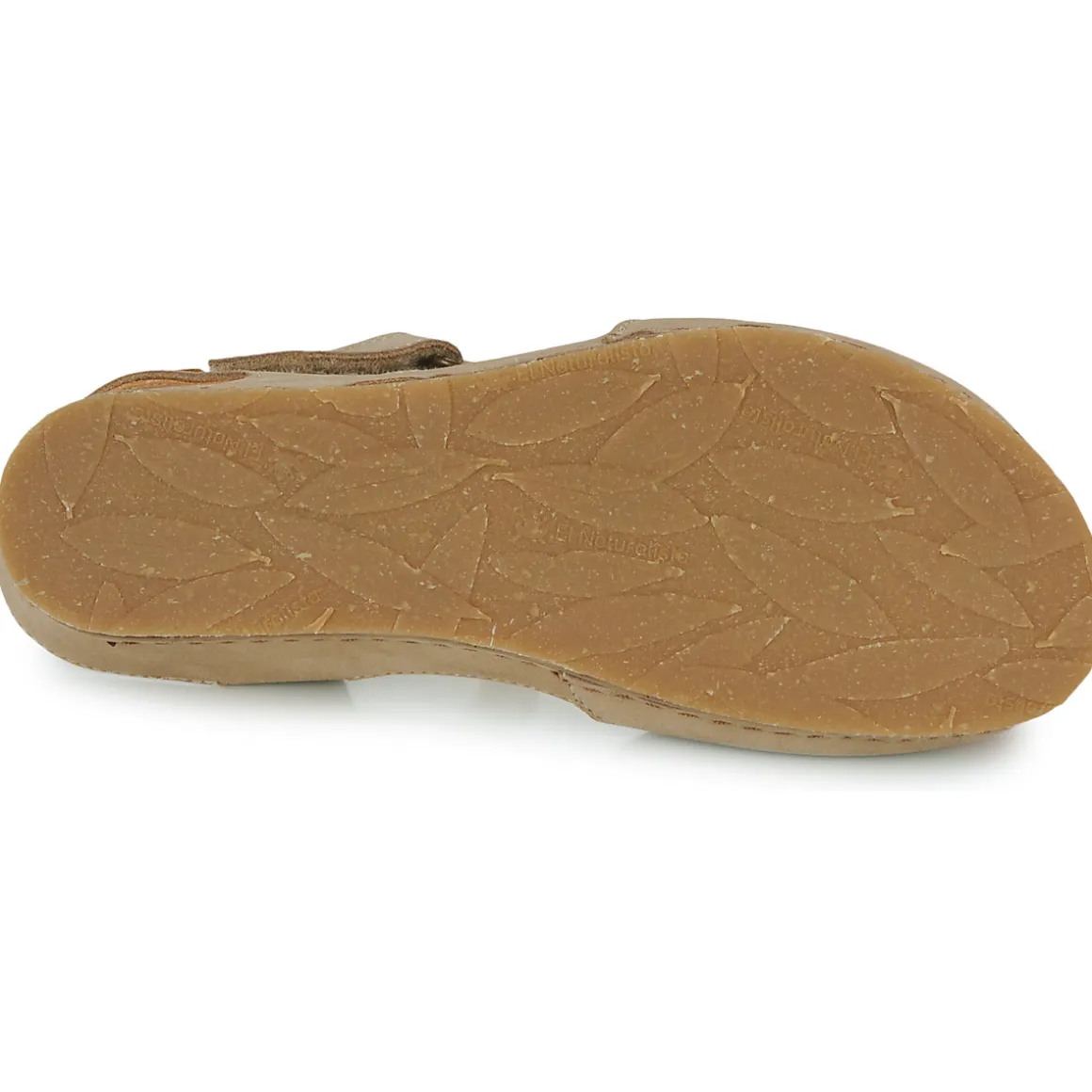 El Naturalista - PICUAL N5850