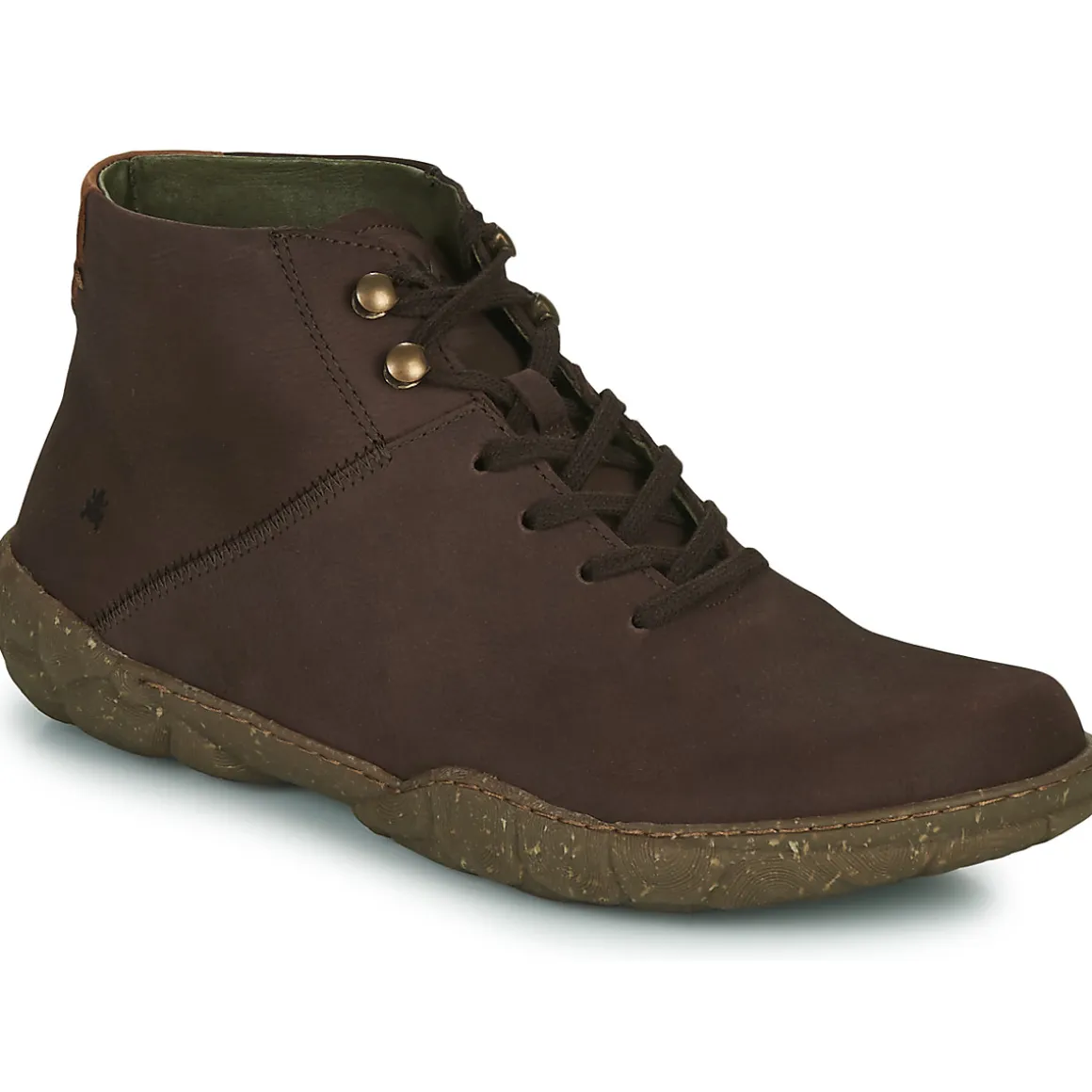 El Naturalista - TURTLE N5083