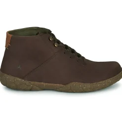 El Naturalista - TURTLE N5083