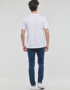 Element - VERTICAL SS