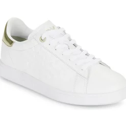 Emporio Armani EA7 - CLASSIC NEW CC