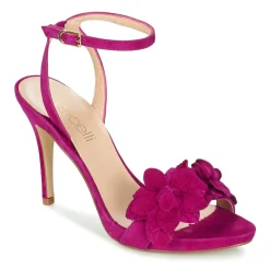 Fericelli - GLAM