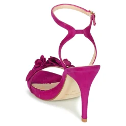 Fericelli - GLAM