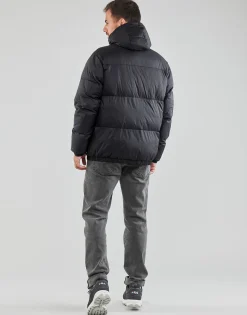Fila - TIREBLOU