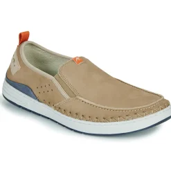 Fluchos - LESTER