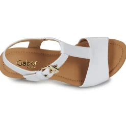 Gabor - 62024